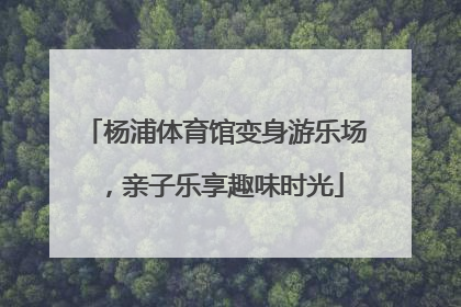 杨浦体育馆变身游乐场，亲子乐享趣味时光